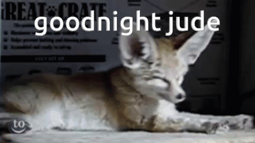 Goodnight Jude Julienfrogwater GIF - Goodnight Jude Julienfrogwater Fennec Fox GIFs