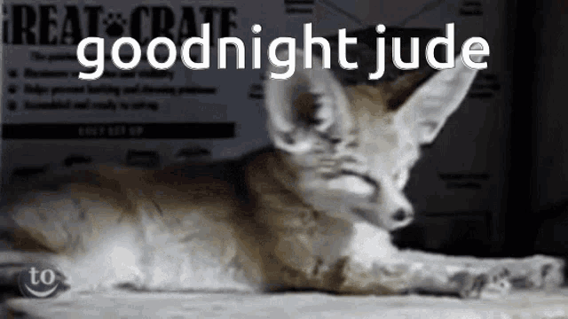 a picture of a fox with the words goodnight jude written above it