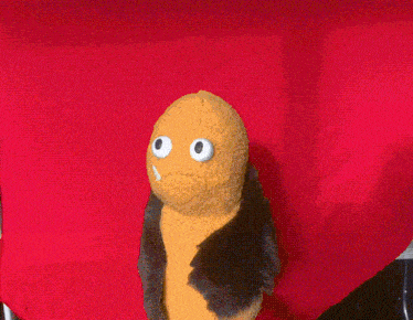 a stuffed animal with big eyes and a black coat