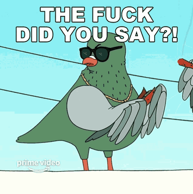 a cartoon pigeon with sunglasses and a chain around its neck says the fuck did you say