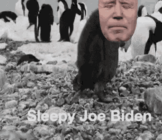 President Joe GIF - President Joe Biden GIFs
