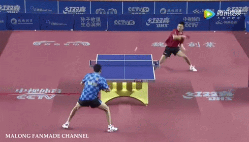 Table Tennis Ping Pong GIF - Table Tennis Ping Pong Liu Dingshuo GIFs