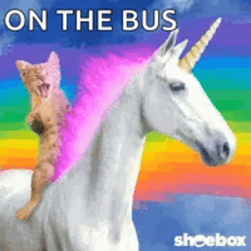 Cat Unicorn GIF - Cat Unicorn Rainbow GIFs