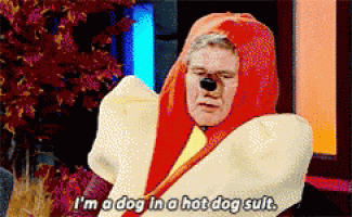 a man dressed as a hot dog says i 'm a dog in a hot dog suit