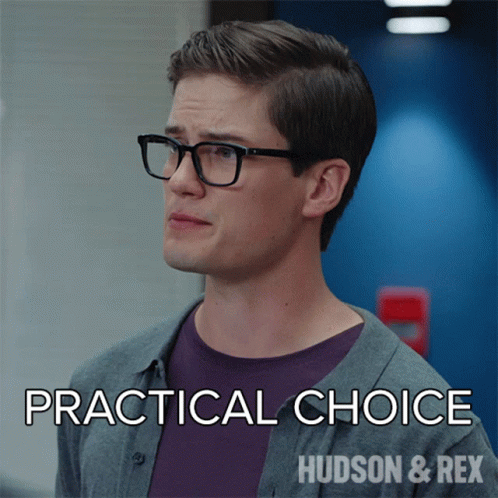 Practical Choice Jesse Mills GIF - Practical Choice Jesse Mills Hudson And Rex GIFs