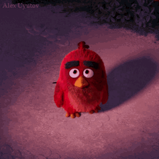 Angry Birds Uyutov GIF