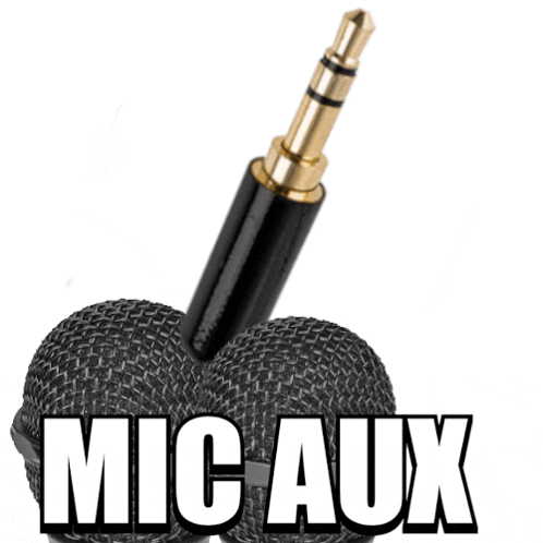 a picture of a microphone with the words mic aux below it