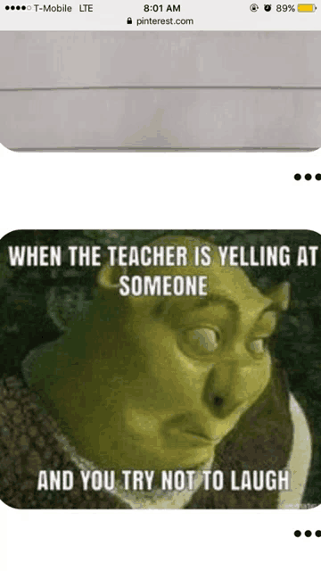 shrek says when the teacher is yelling at someone and you try not to laugh ..