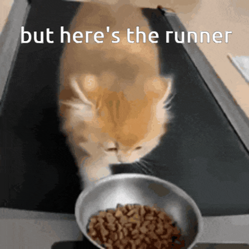a cat is eating food on a treadmill with the words but here 's the runner