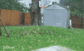 a gif from gifok.net shows a basketball hoop in the backyard