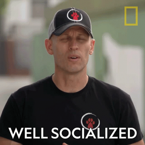 Well Socialized Matt Beisner GIF - Well Socialized Matt Beisner National Geographic GIFs