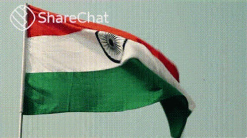 भारतीय झंडा GIF - भारतीय झंडा भारतीयझंडा GIFs