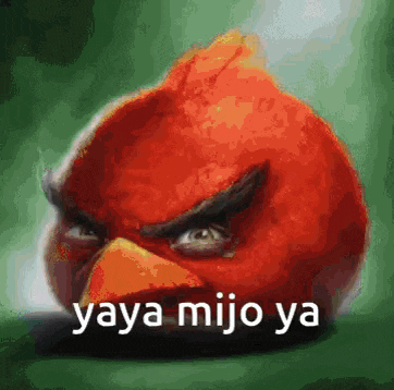 an angry bird with the words `` yaya mijo ya '' on it 's face .