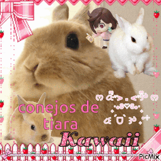 a picture of two rabbits with the words conejos de tiara kawaii on the bottom