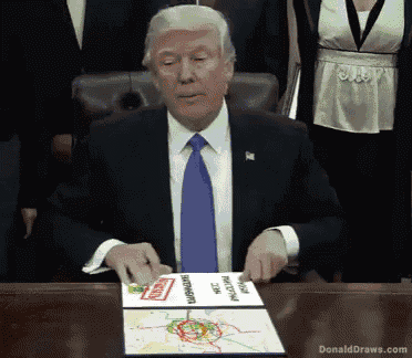 Trump Ekb GIF