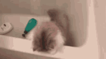 a cat is laying in a bathtub with a green bottle in the background .