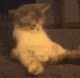 a cat is laying on a couch with its head down .