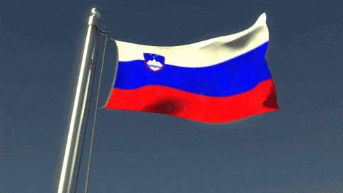 a red white and blue flag with a mountain in the middle