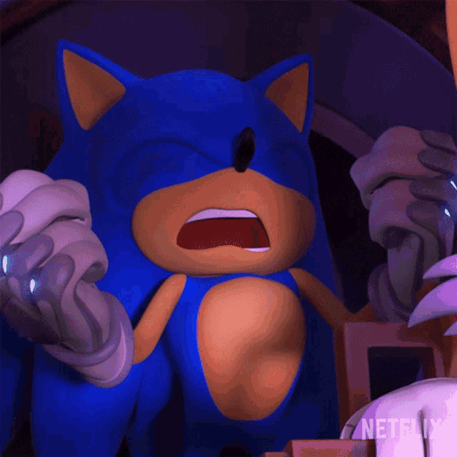 a close up of a sonic the hedgehog with a netflix logo in the background