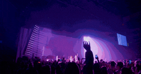 a crowd of people at a concert with their hands up