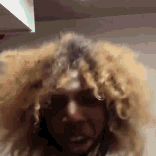 a close up of a person 's head with a very large afro
