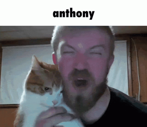 Anthony Anthony Tel GIF