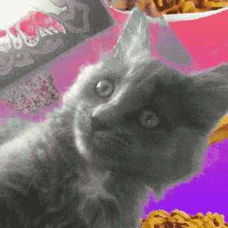 a kitten is laying on a table with a bag of sugarfina cereal in the background