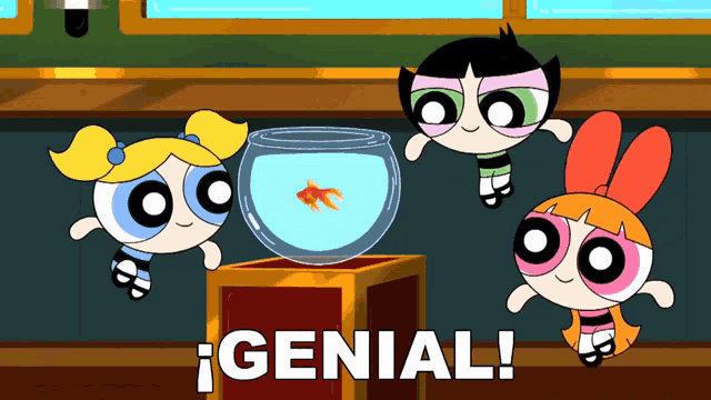 bubbles buttercup and blossom from the powerpuff girls looking at a fish bowl