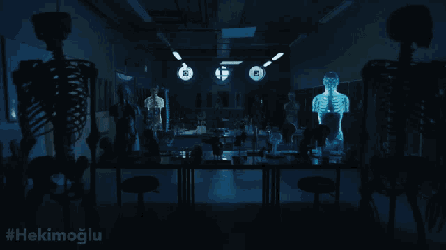 a classroom with skeletons and the hashtag #hekimoglu on the bottom