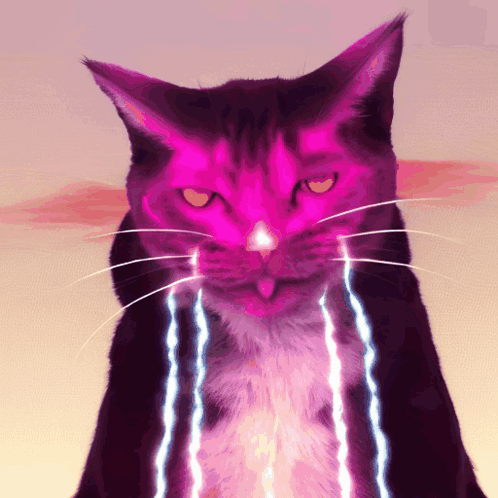 Quantum Cats GIF - Quantum Cats GIFs