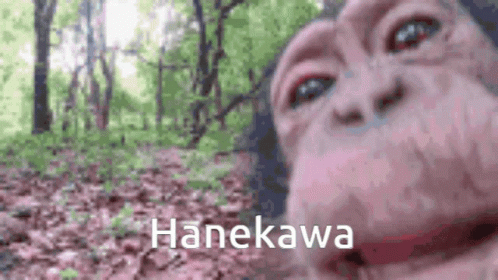 Hanekawa GIF - Hanekawa GIFs