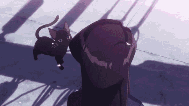 a black cat is standing next to a woman in a purple shirt