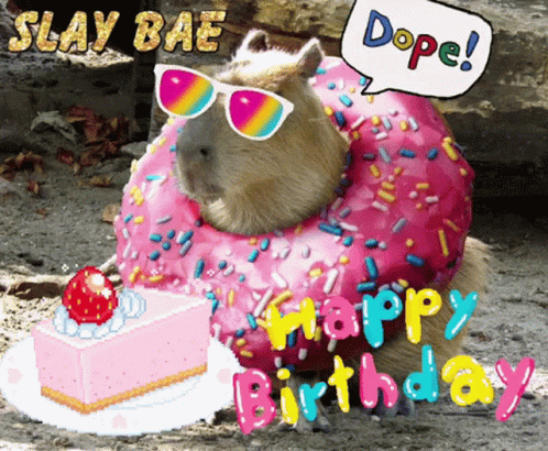 Capybara Happy Birthday GIF - Capybara Happy Birthday Birthday GIFs