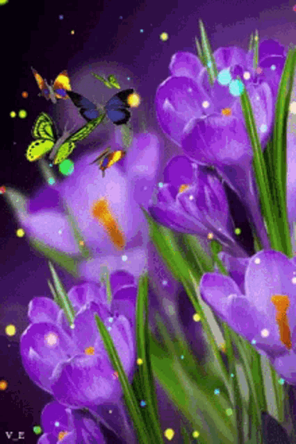 purple flowers with butterflies flying around them