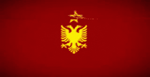 Talonya Flag GIF - Talonya Flag Socialist GIFs