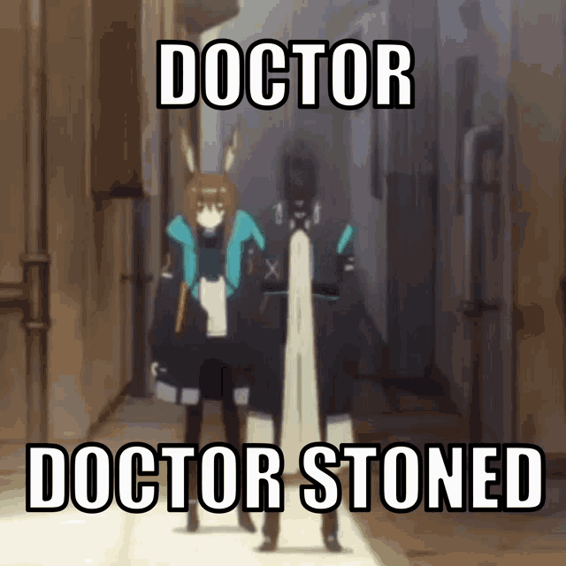 a picture of a rabbit and a man with the caption doctor stoned