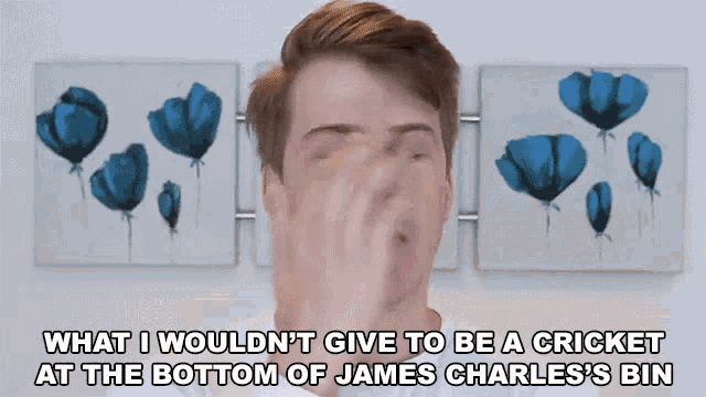 What I Wouldnt Give To Be A Cricket At The Bottom Of James Charles Bin Wish I Could Listen GIF - What I Wouldnt Give To Be A Cricket At The Bottom Of James Charles Bin Wish I Could Listen I Wish I Could Hear What Was Said GIFs
