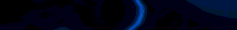 a blue background with white text that says tx s stat role play