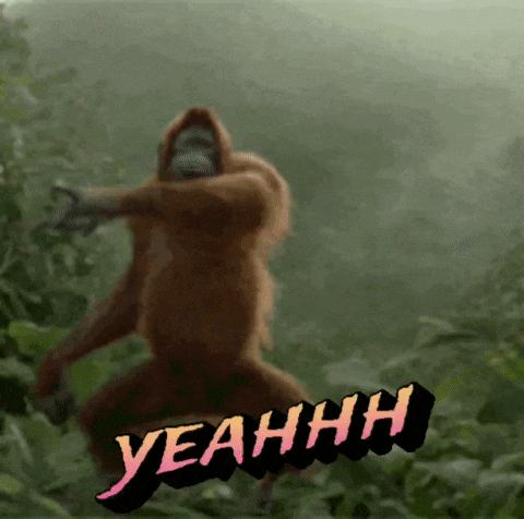 a monkey is dancing in the jungle with yeahh written on it
