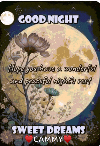 a greeting card that says good night hope you have a wonderful peaceful night 's rest sweet dreams cammy
