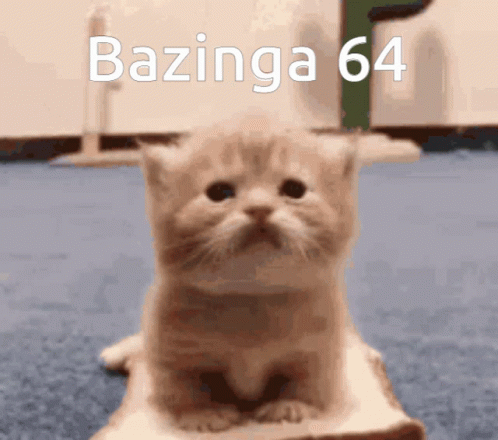 Bazinga 64 GIF - Bazinga 64 Big Bang Theory GIFs