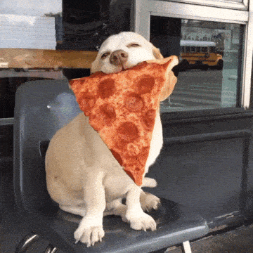 a dog with a slice of pepperoni pizza on its neck