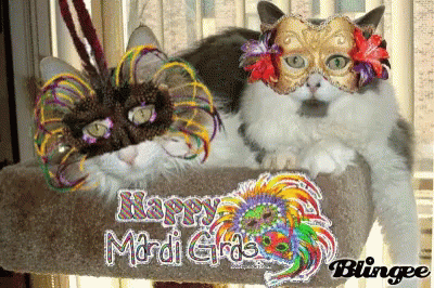 Happy Mardi Gras Cats GIF - Happy Mardi Gras Cats Masks GIFs
