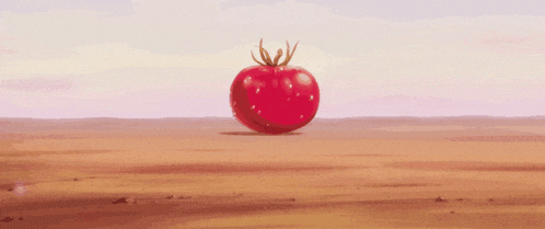 a large red explosion in the middle of a field