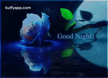 Good Night Rose.Gif GIF - Good Night Rose Good Night Good Night Wishes GIFs