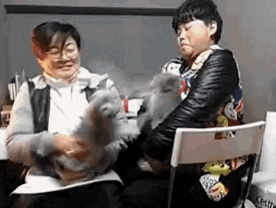 Funny Animals Cat Fight GIF - Funny Animals Cat Fight Oracat GIFs