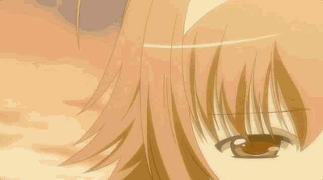 a close up of a anime girl 's face with a sunset in the background