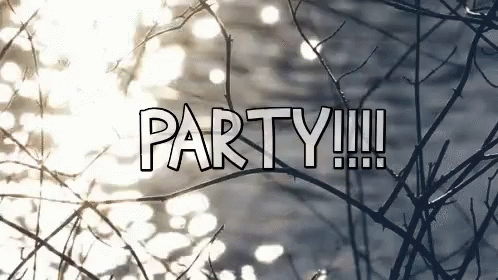Party Lake Party GIF - Party Lake Party Party On The Lake GIFs