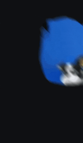 a phone screen with a picture of a dog