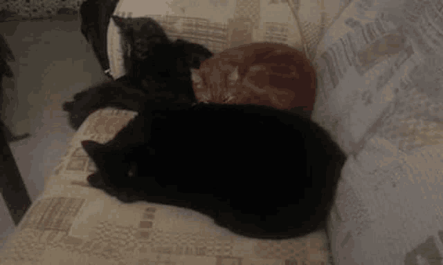three cats are laying on a couch , one is black and one is orange .